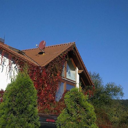 Ferienhaus Am Loeffelberghuettchen Gießübel Extérieur photo
